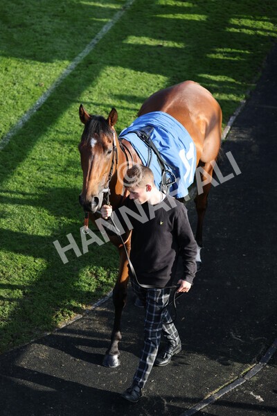 yr08102021r5-4 - Race 5 4.20pm Copper Knight - Winning Most Horse At York Handicap