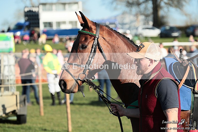 PtP 210326 1165 - VWH Cirencester Races 21/03/26
