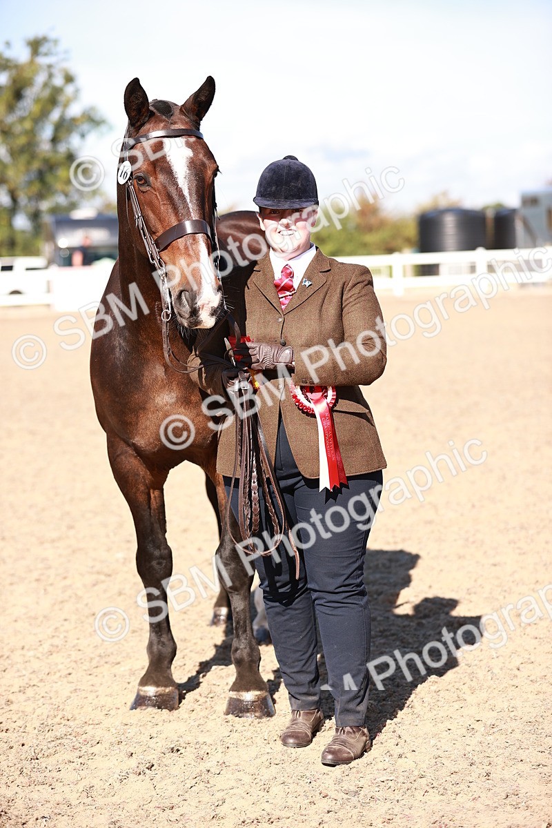 SBM_13250 - Class 405 - IH Show Cob
