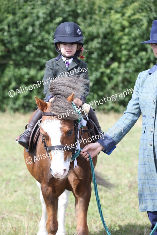 20250831-2754 - Class 17 - Lead Rein Pony