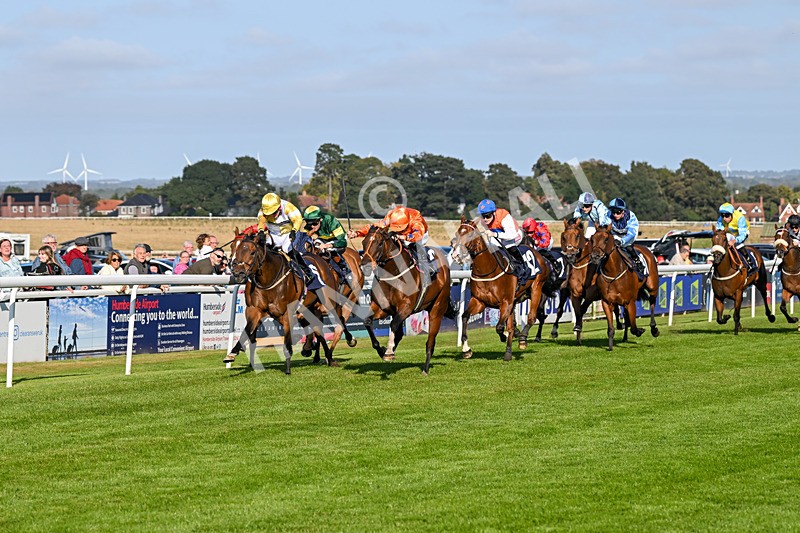 180924-Race 6-Elegant Erin-5025 - Race 6