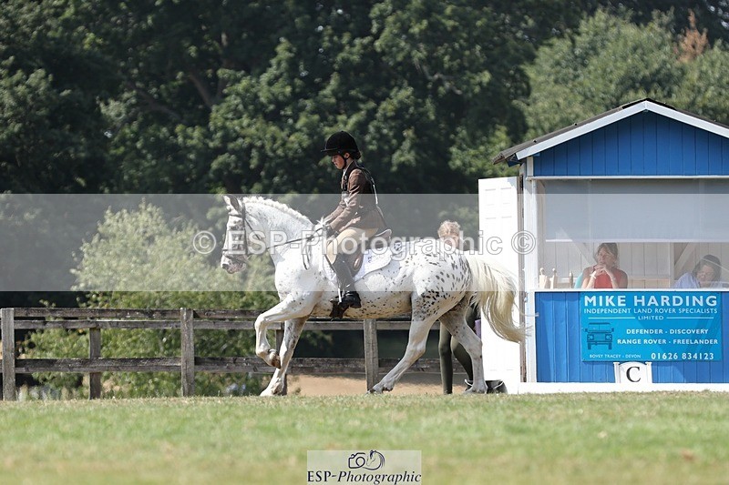 250823A-132021-31286 - Arena D