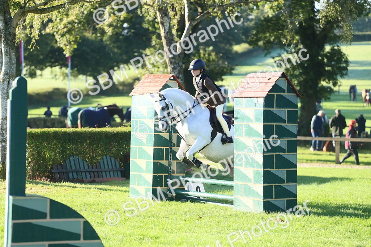 SBM_37374 - S29 - Novice & Newcomers Working Hunter Pony