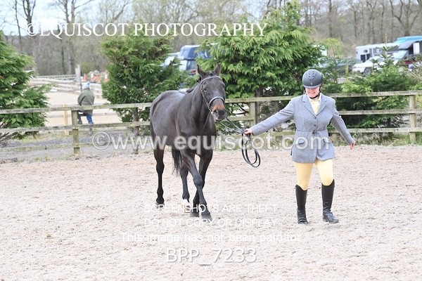 BPP_7233 - RING 1  (RIDDEN HORSES / IN HAND / VETERAN ETC)