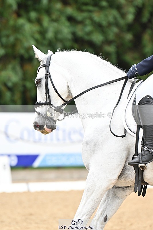 240811-110258-05074 - 164-Amelia.Struel-Tanzanite.Silver.Lining