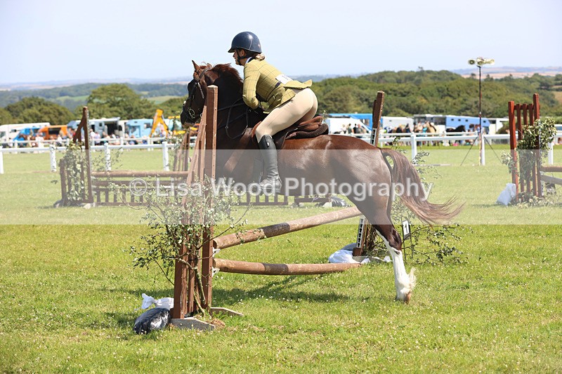 JPP_3039 - Class 22: Working Hunter 70cm