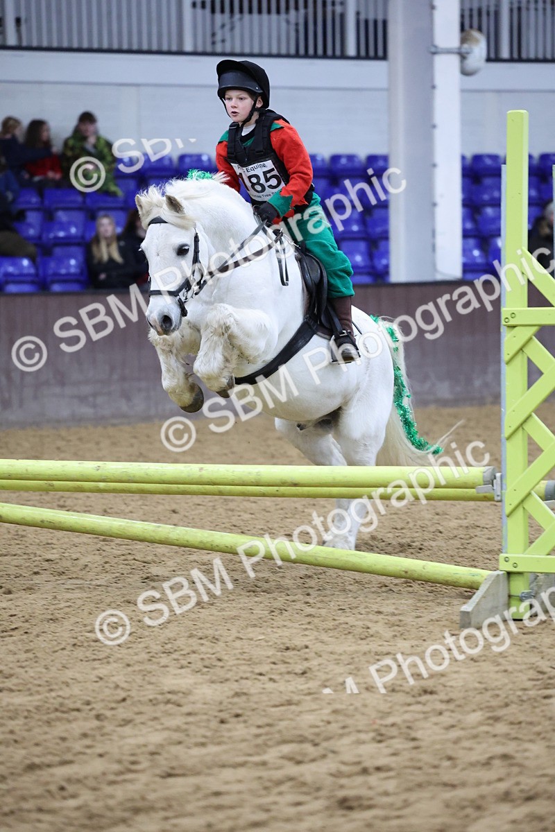 SBM_001208 - Class 3 - Christmas Tree Stakes - 60cm