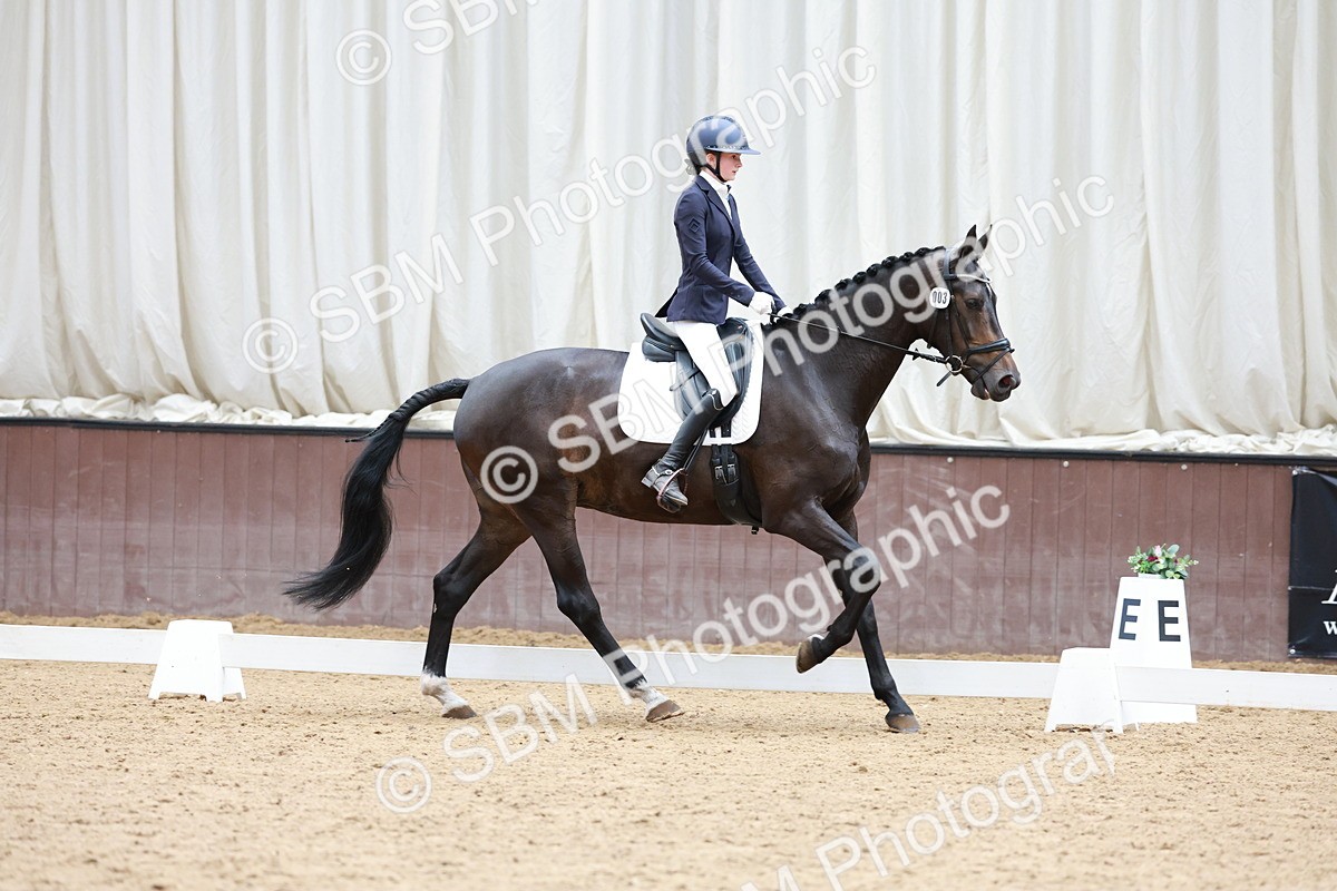 SBM_013817 - Class 9-8-11 - MQ U21-Open N1-N2 -  P2