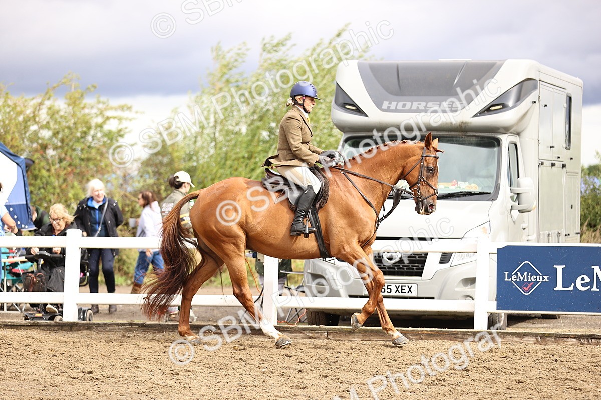 SBM_00581 - Class 53 - Ridden Competition Horse Pony