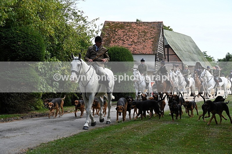WJ6_3923 - Berks & Bucks - The Old farmhouse - Hound Exercise 20-08-25