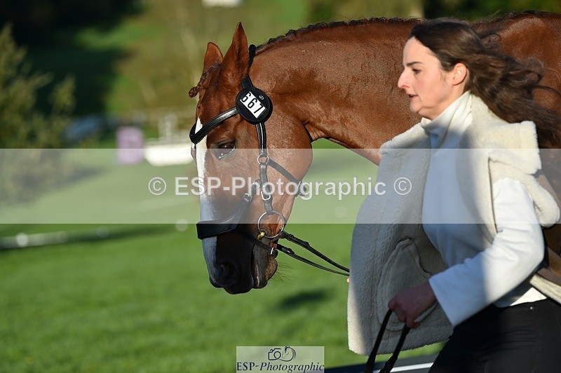 231022-091526-21653 - 667-BAILE.NA.CROISE-Emma.Pine-TrotUp+SJ