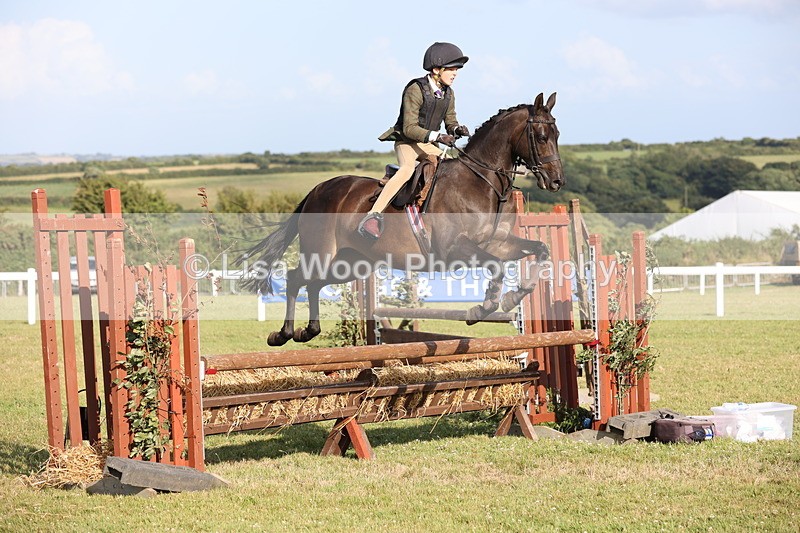 JPP_3256 - Class 21: Working Hunter 80cm