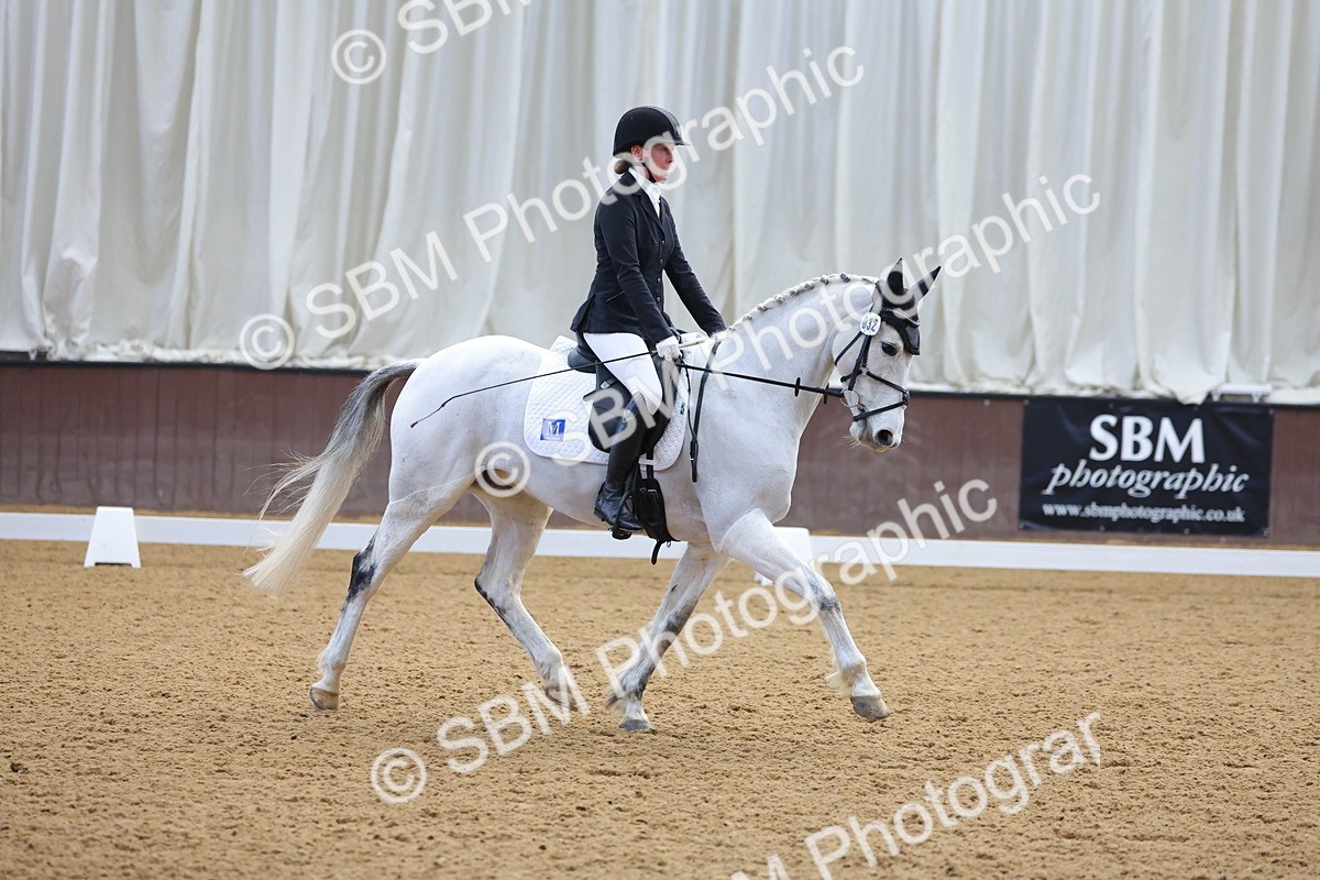 1I0A8679 - Class 4 - Novice 4