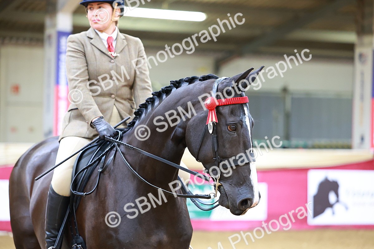 SBM_00821 - Class 6A - Ridden Pre-Vet