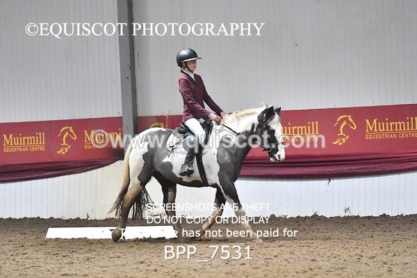 BPP_7531 - INTRO TEST 2