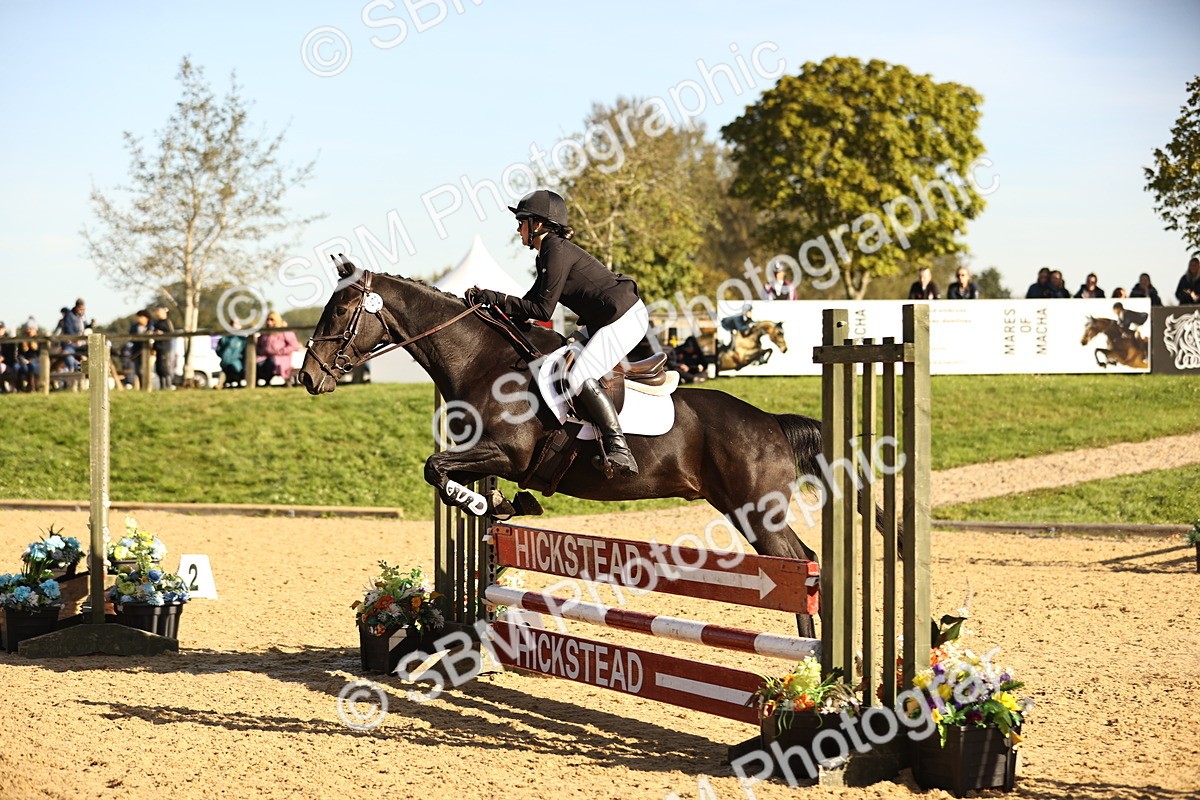 SBM_34800 - J38 - Senior 80cm Championship