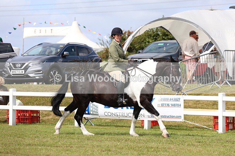 3E7A0178 - Class 6: Rising Star Maxi Cobs