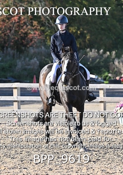 BPP_9619 - SHORT ARENA