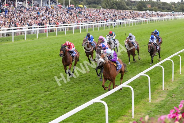 240824-Race 1-See The Fire-8882 - Race 1 1.50pm Sky Bet Strensall Stakes