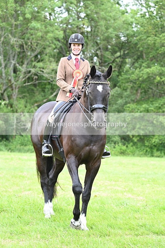 WJ7_4356 - Class 14A Handsome Gelding