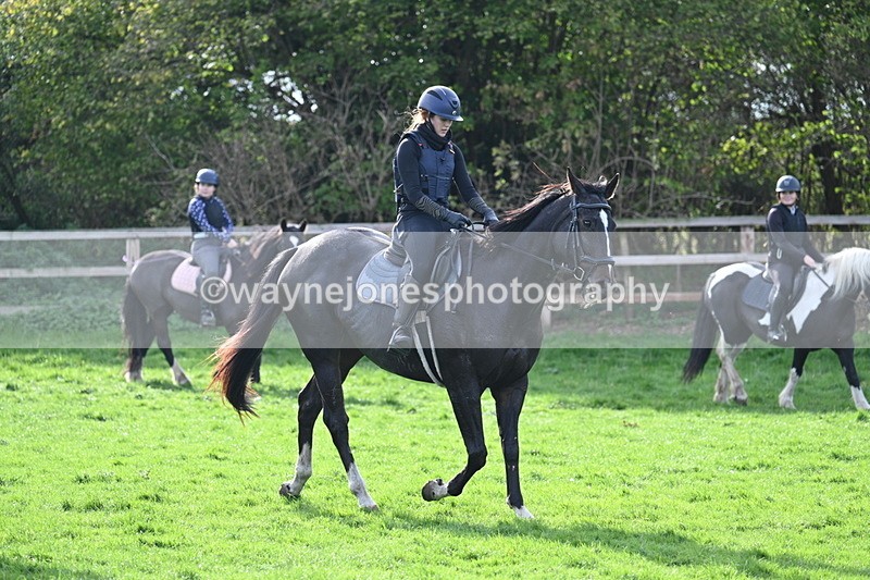 WJ7_1039 - Time 14:27 to 15:11