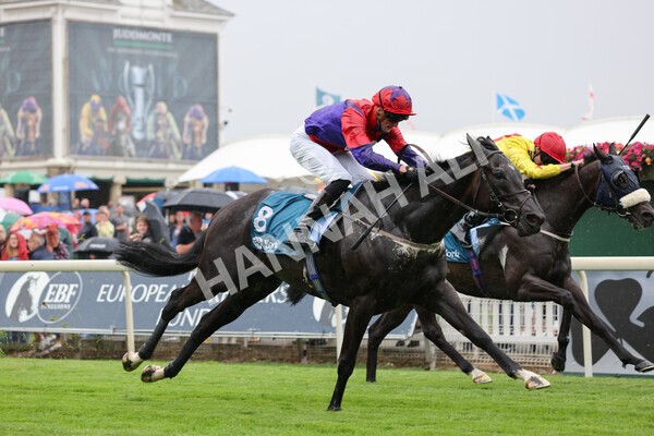 yr22072022r1-28 - Race 1 5.20pm John Wright Electrical Handicap Apprentice Stakes