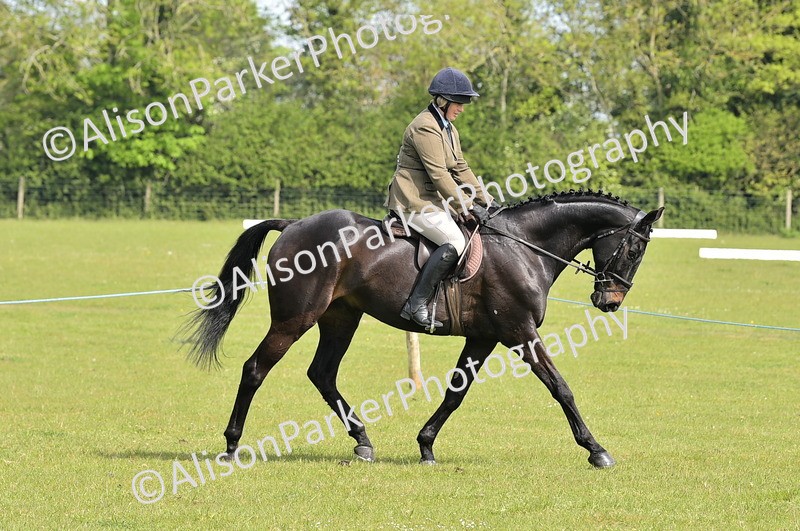 20260426-1156 - Class 19 - Retraining Of Racehorses
