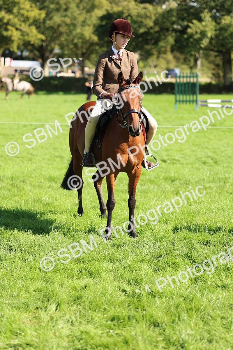 SBM_45436 - S33 - Working Hunter Pony