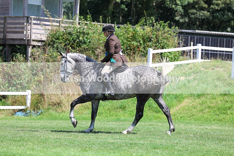 3E7A9195 - Working Hunter Championship