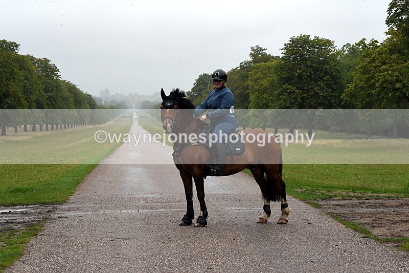 TT3_8352 - Time at Crossing 10:16 to 11:38