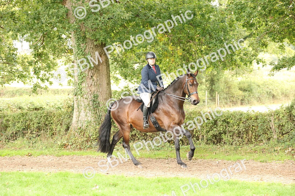 SBM_66313 - S66 - Hunter Ridden