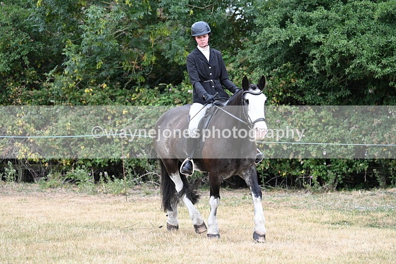 WJ7_0132 - Class 2 Best rider