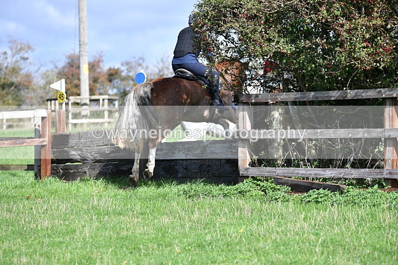 WJ5_8206 - Time 10:31 to 12:01