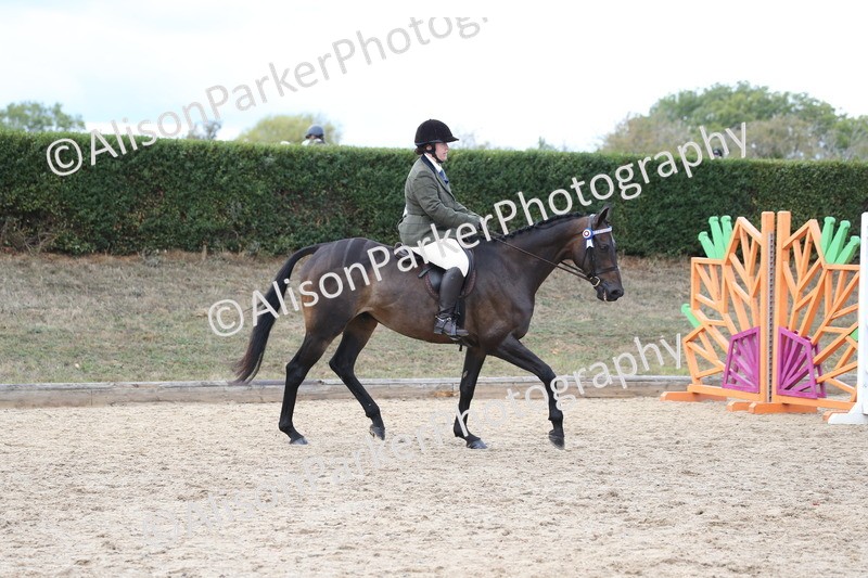 20260831-2605 - Class 15 - Ridden Retraining of Racehorses