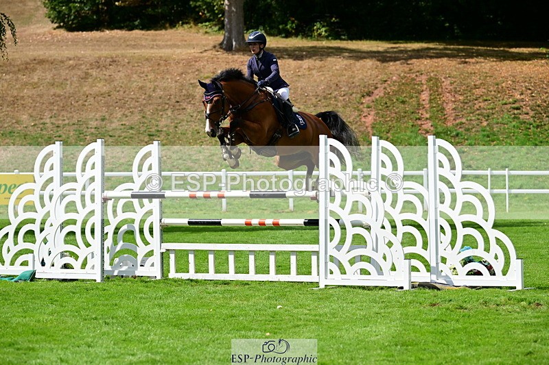 2026-08-21A-DSC_4325 - Cls 2 Snr Foxhunter