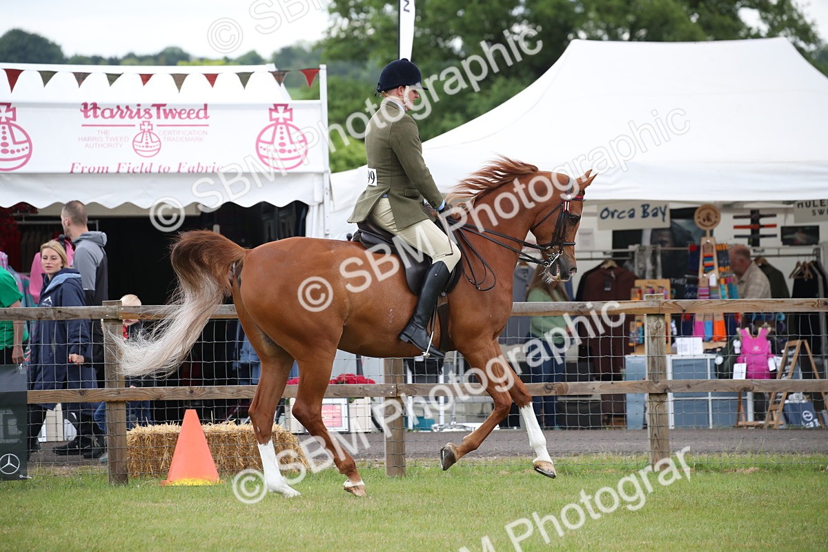 SBM_03611 - Class 21 - 22 - Ridden Arab and Part Bred/Anglo Arab