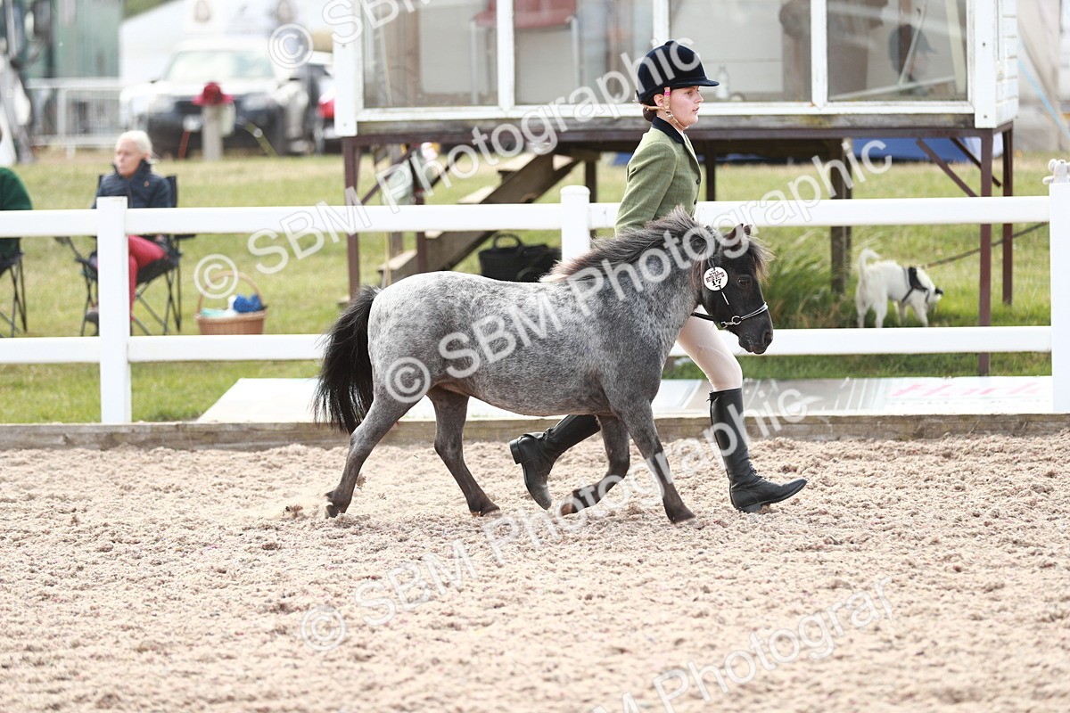 SBM_13843 - Class 209 IH Veteran Pony