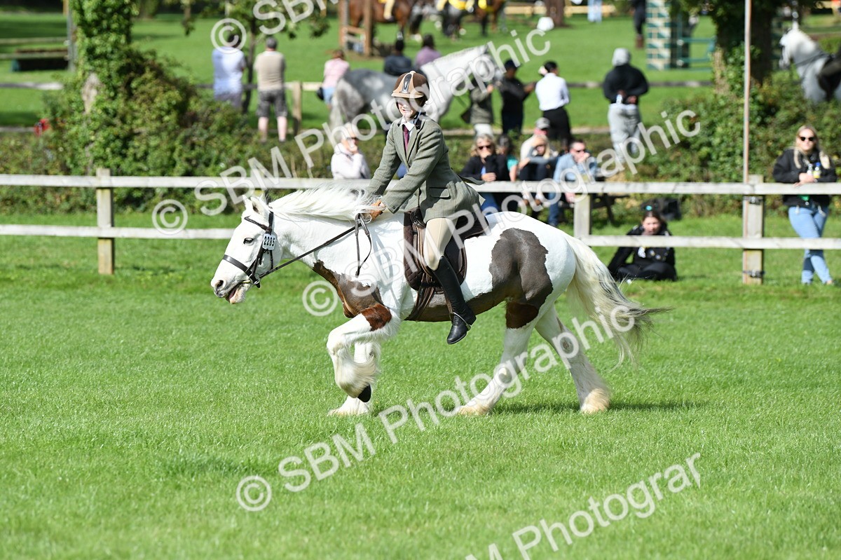 SBM_47019 - S12 - Family Horse & Pony