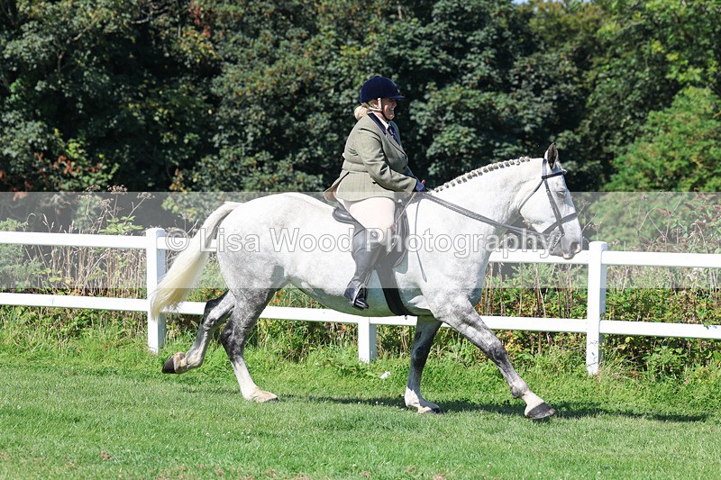 3E7A8372 - Class 4: Novice working Hunter