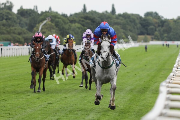 yr23072022r5-25 - Race 5 4.25pm Sky Bet UK's No1 Betting App Stakes