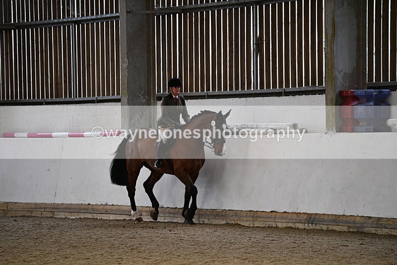 WJ5_8772 - Class 15 Ridden Show Horse