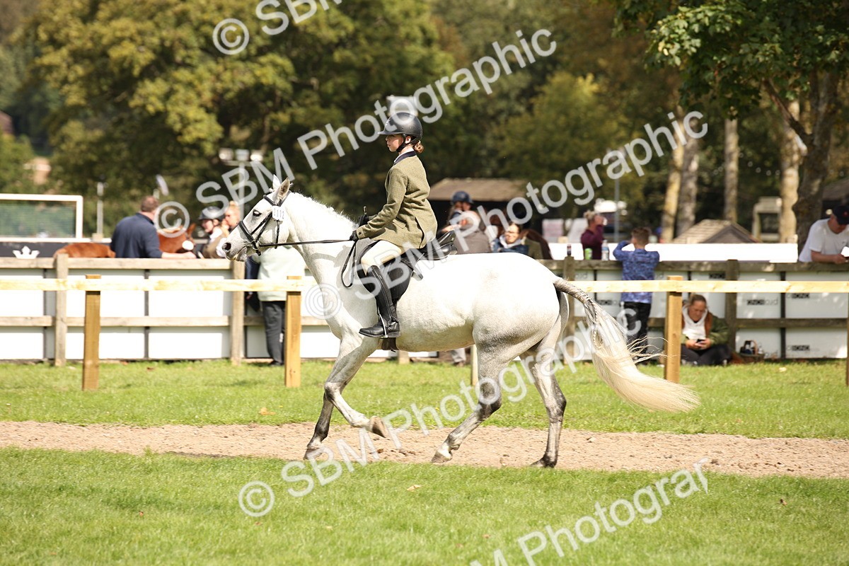 SBM_42323 - S13 - Pony Club Pony