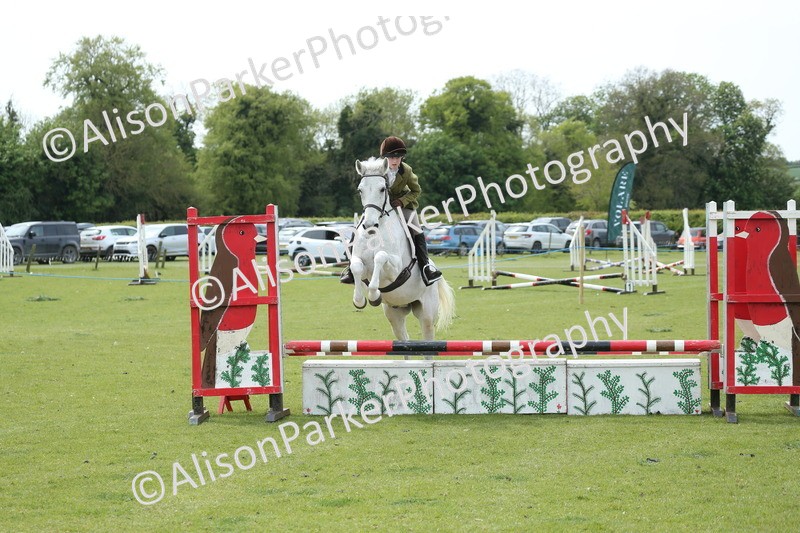 20260426-2091 - Class 15 - Absolute Novice 70cm