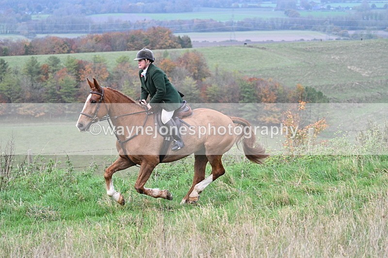 WJ7_9883 - Camera 1 & Last fence