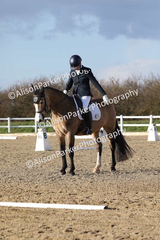 20260314-5885 - DR8 - Elementary 2