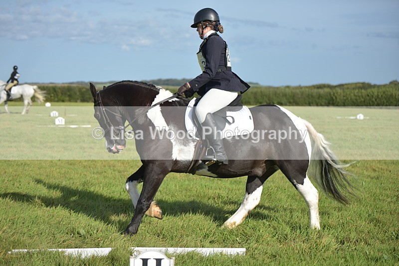 RAY_7345 - Class 2B: Trekenning Open: Dressage
