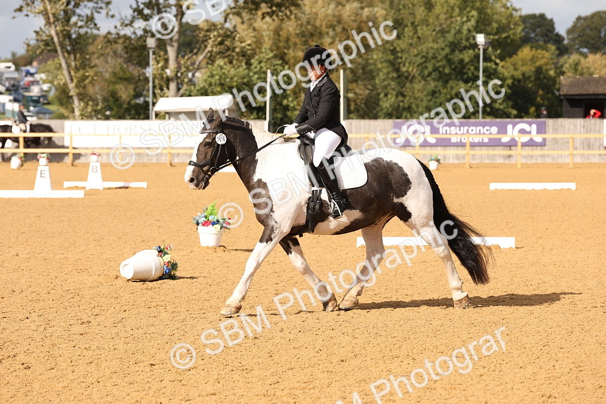 SBM_24684 - D17 - Grand Tour Championship Novice 3