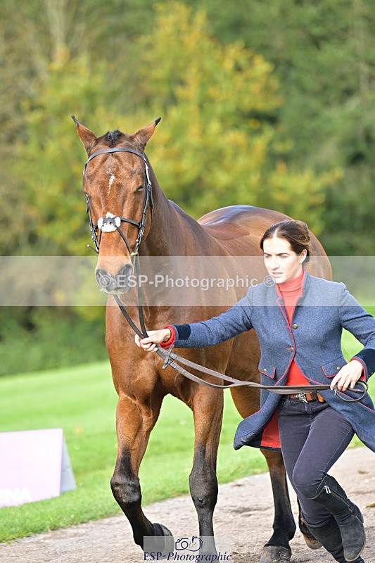 241023-132701-00299 - 053-Lois.Teal-Z7.CATASTROPHE