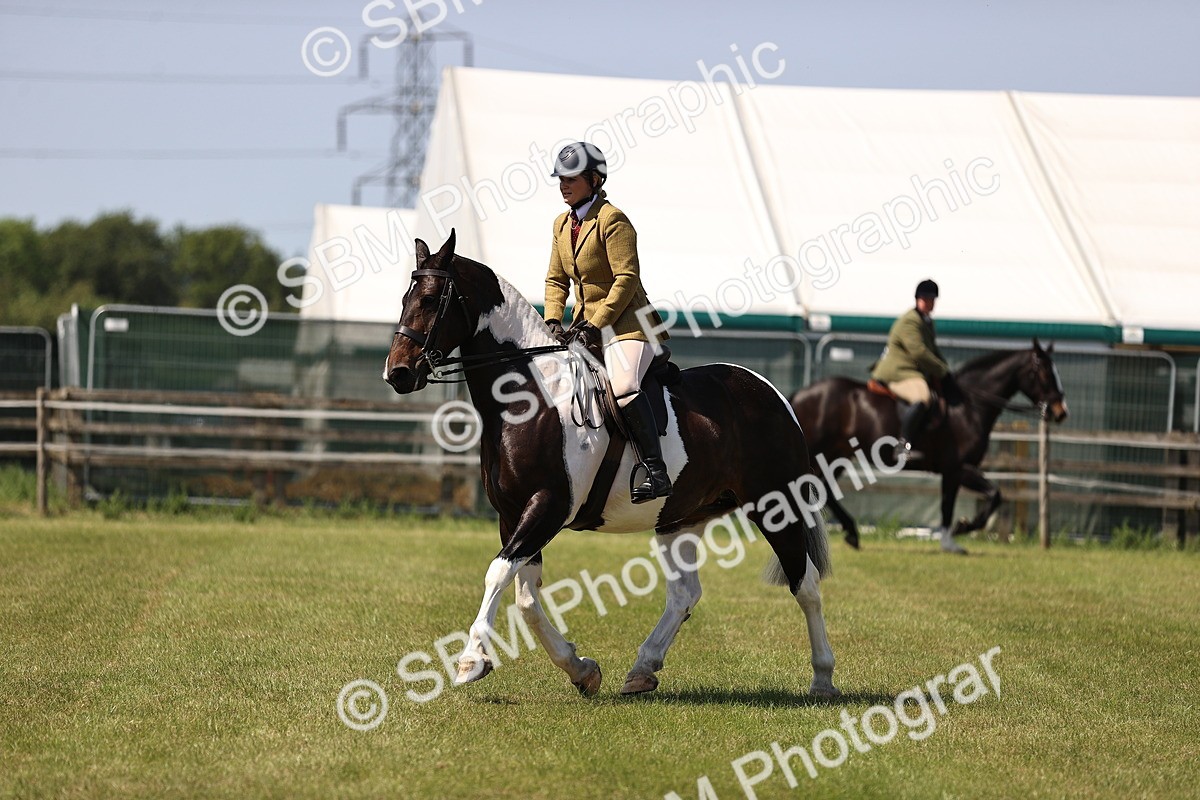 SBM_17852 - Class 81-83 - TSR Ridden Amateur of the Year - Horses