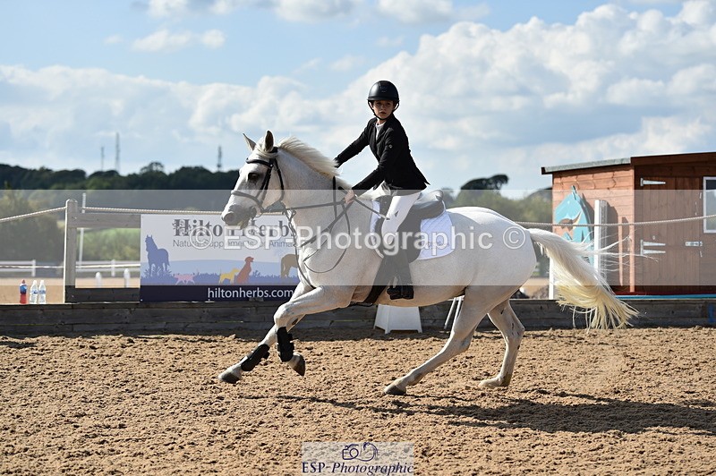 230902A-153632-01955 - Cls 4A Pony Big 95cm